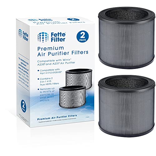 Generic Replacement Filter for Winix A230 and A231 (2-Pack)