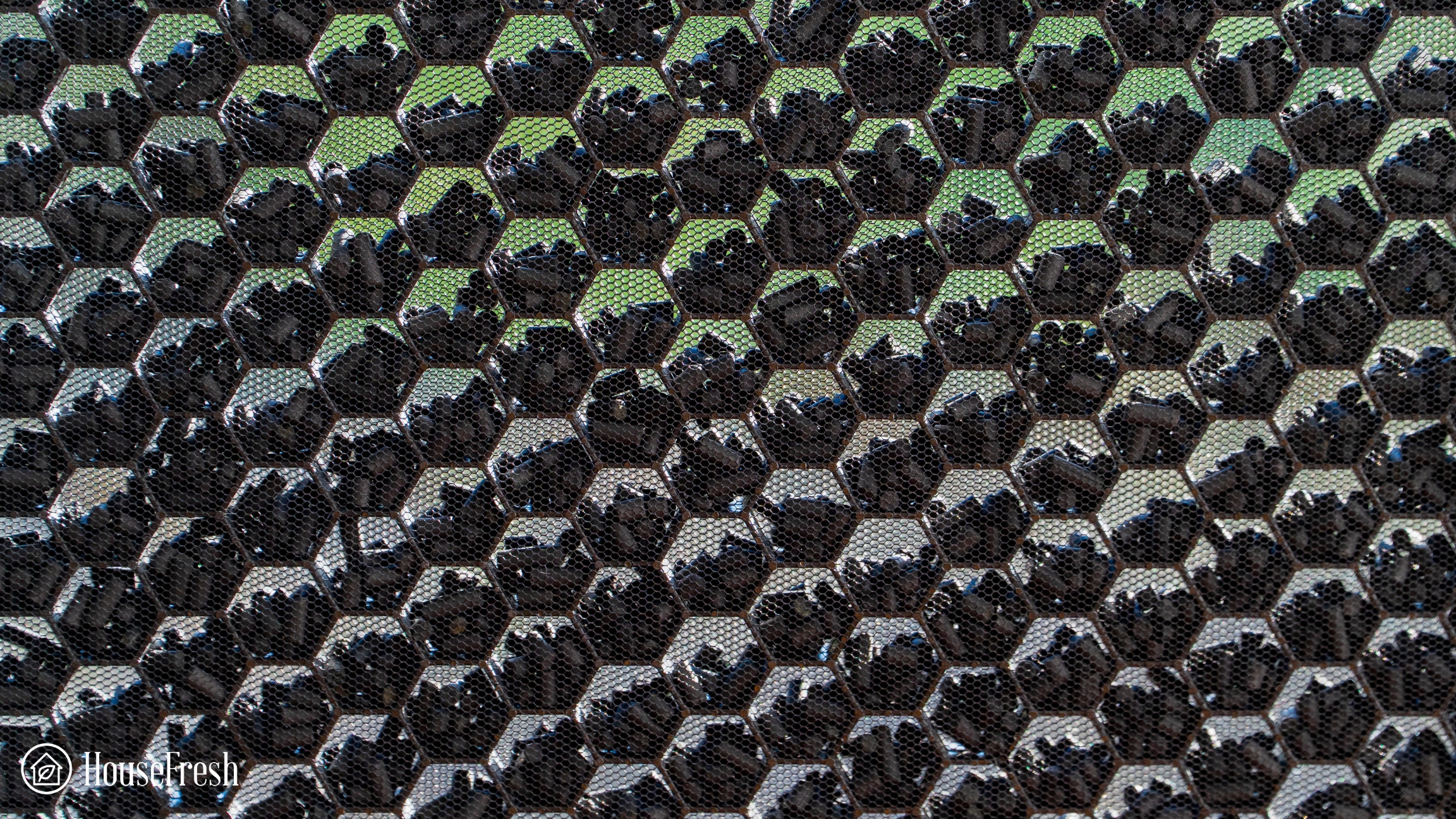 Winix 5500 2 Activated Carbon close up