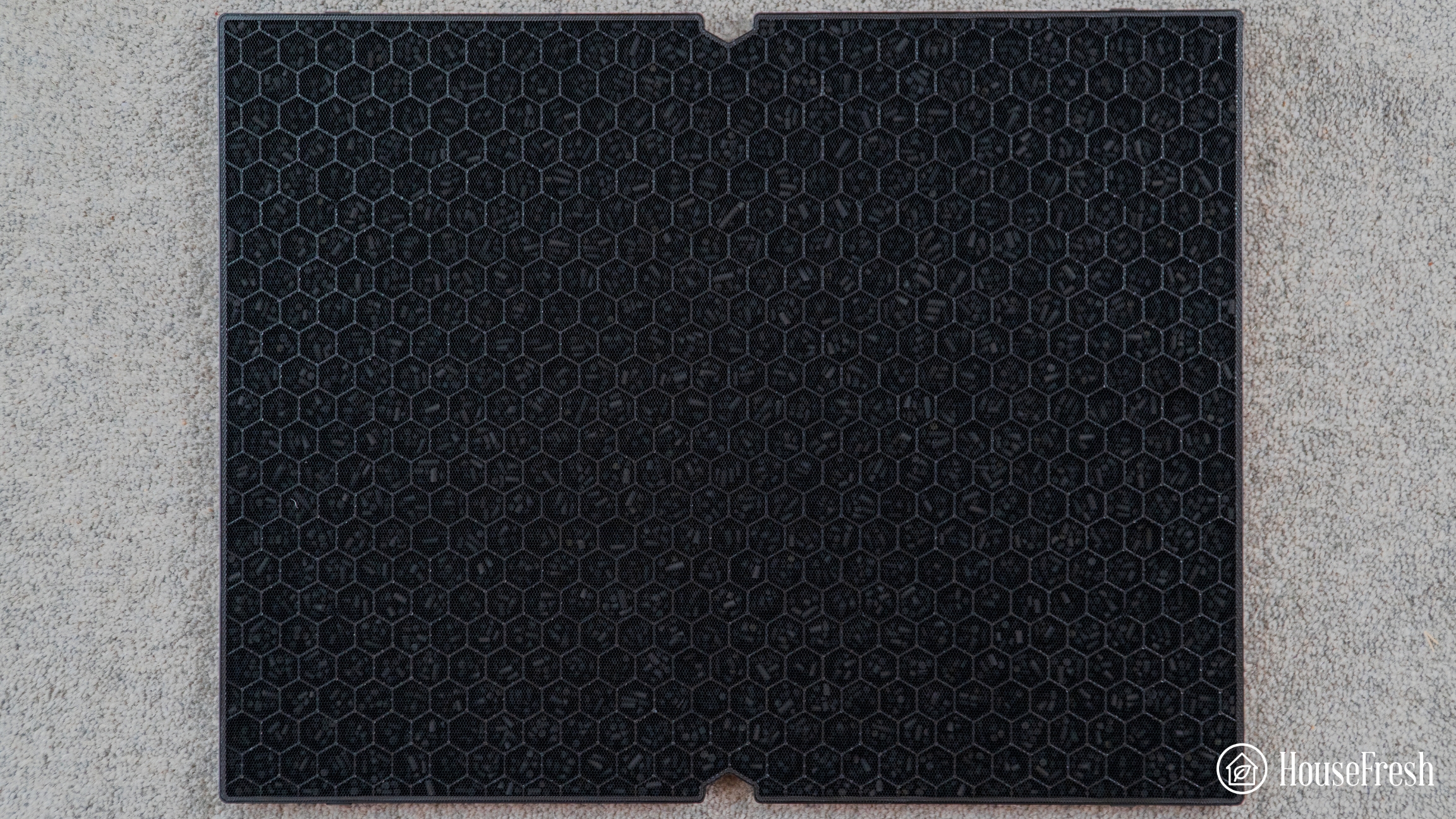 Winix 5500 2 Activated Carbon filter