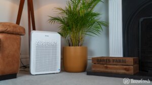 Winix C545 Living Room